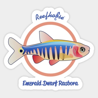 Emerald Dwarf Rasbora Sticker